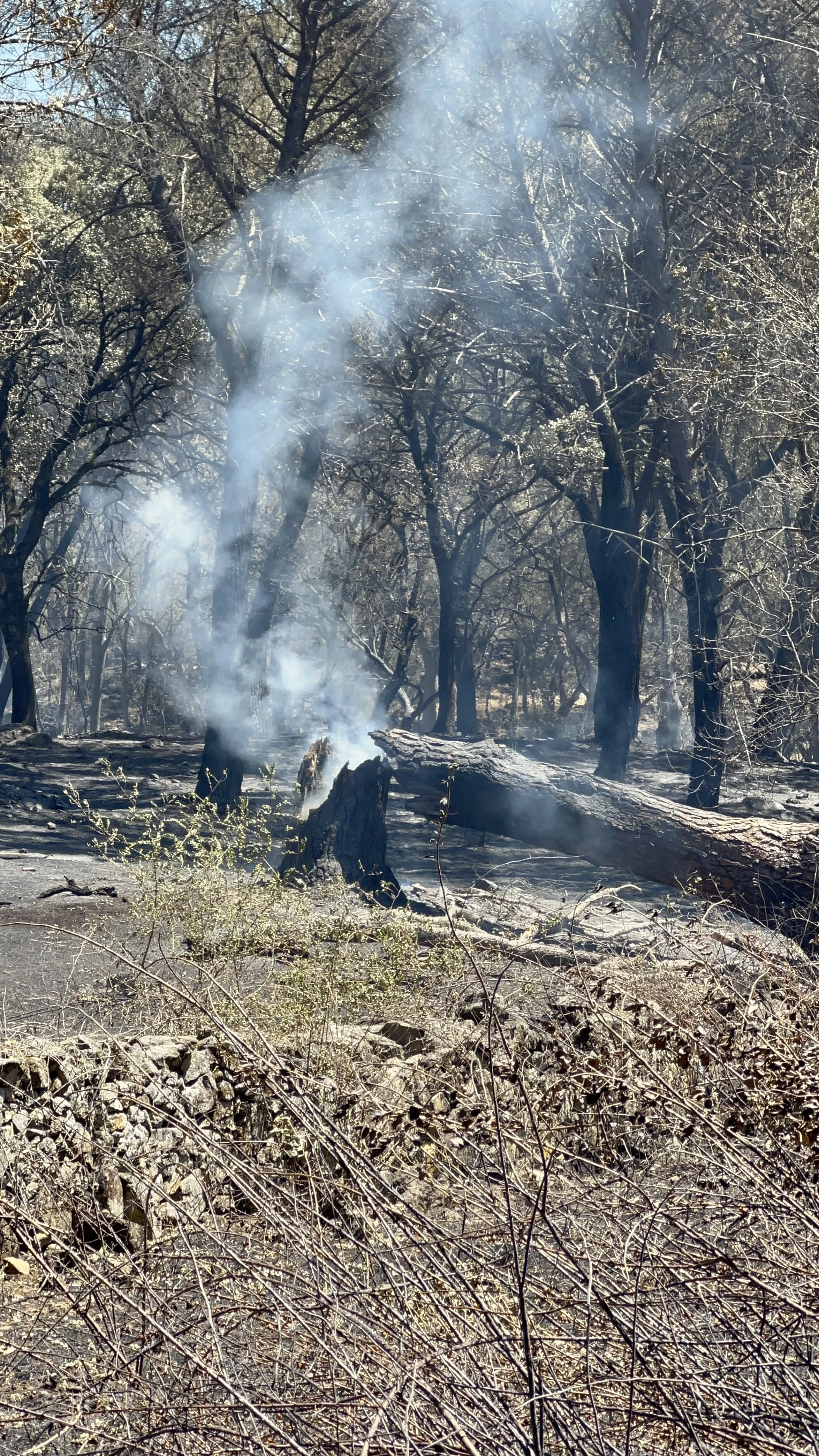El incendio que arrasó la zona rural, al atardecer